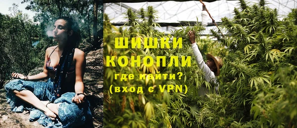 винт Алзамай