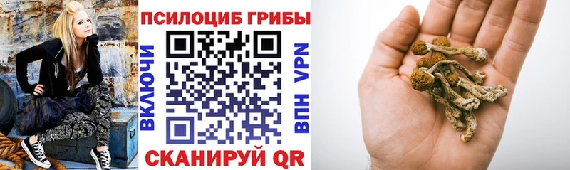 Галлюциногенные грибы Psilocybine cubensis  Моздок 