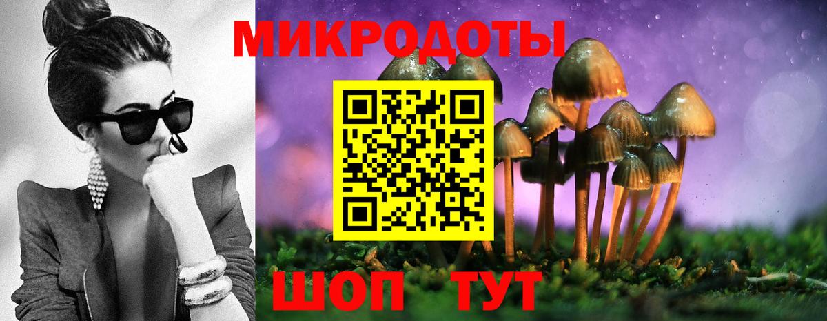 Псилоцибиновые грибы мицелий Моздок