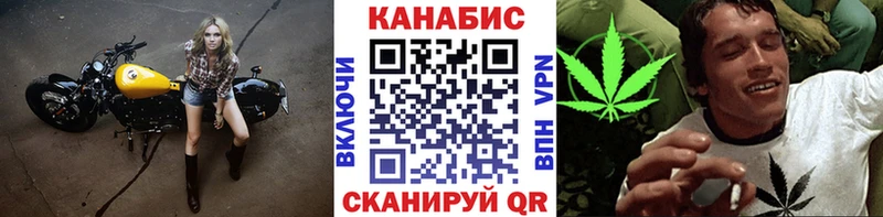 Конопля семена  как найти наркотики  Моздок 